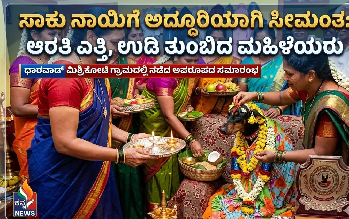 ಗರ್ಭಿಣಿ ಡಾಬರಮನ್ ನಾಯಿಗೆ ಉಡಿ ತುಂಬುತ್ತಿರುವ ಮಹಿಳೆಯರು