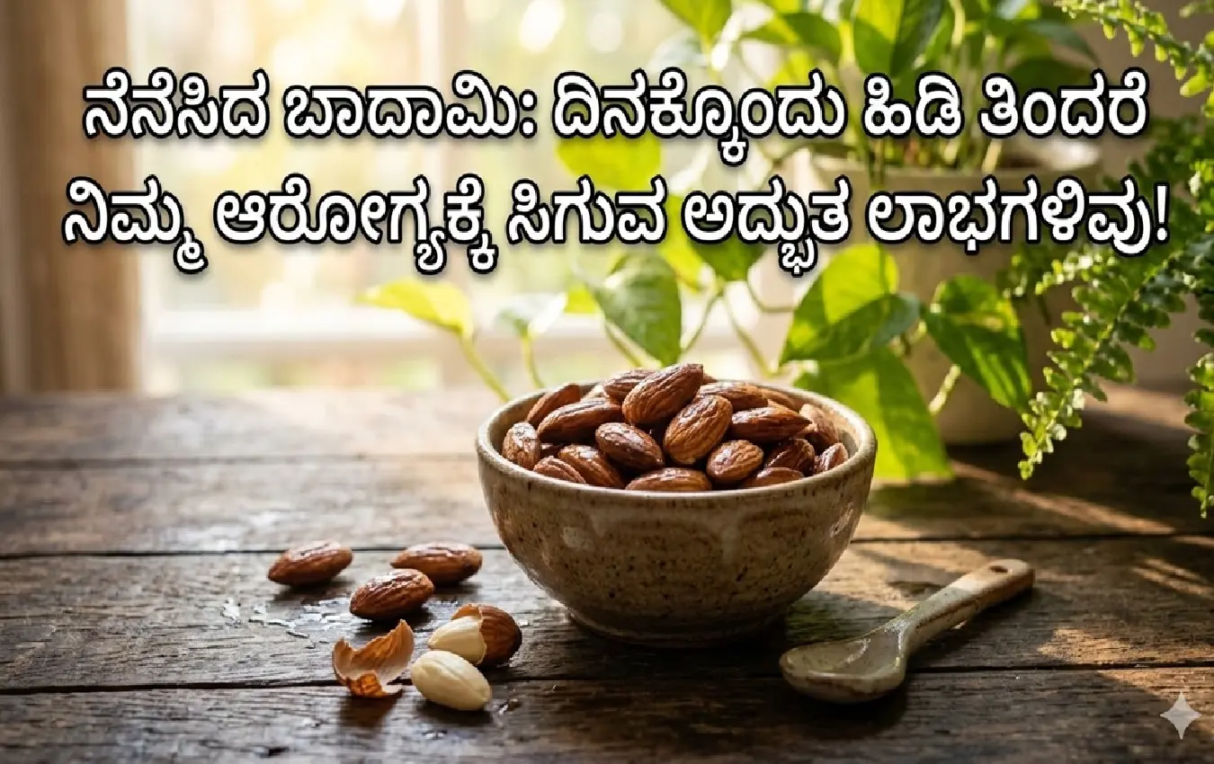ಬಟ್ಟಲಿನಲ್ಲಿರುವ ನೆನೆಸಿದ ಬಾದಾಮಿ ಬೀಜಗಳು
