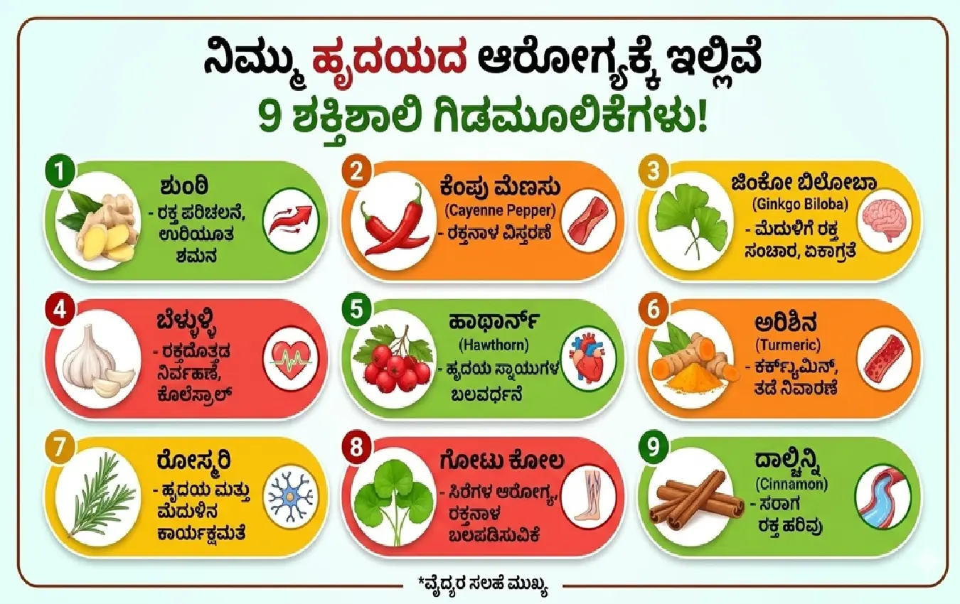 ವಿವಿಧ ಗಿಡಮೂಲಿಕೆಗಳು ಮತ್ತು ಹೃದಯದ ಆರೋಗ್ಯದ ಸಂಕೇತ.
