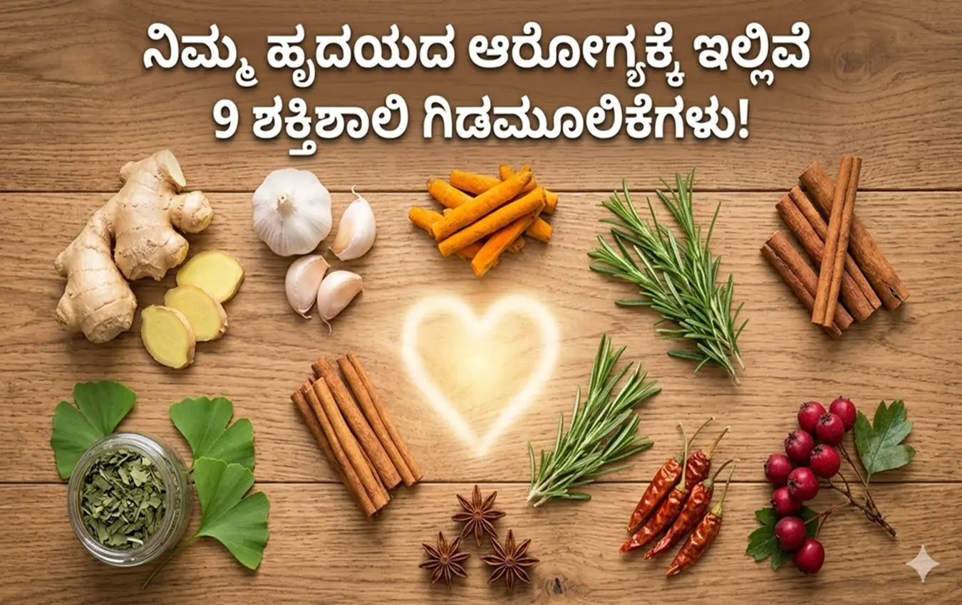 ವಿವಿಧ ಗಿಡಮೂಲಿಕೆಗಳು ಮತ್ತು ಹೃದಯದ ಆರೋಗ್ಯದ ಸಂಕೇತ.