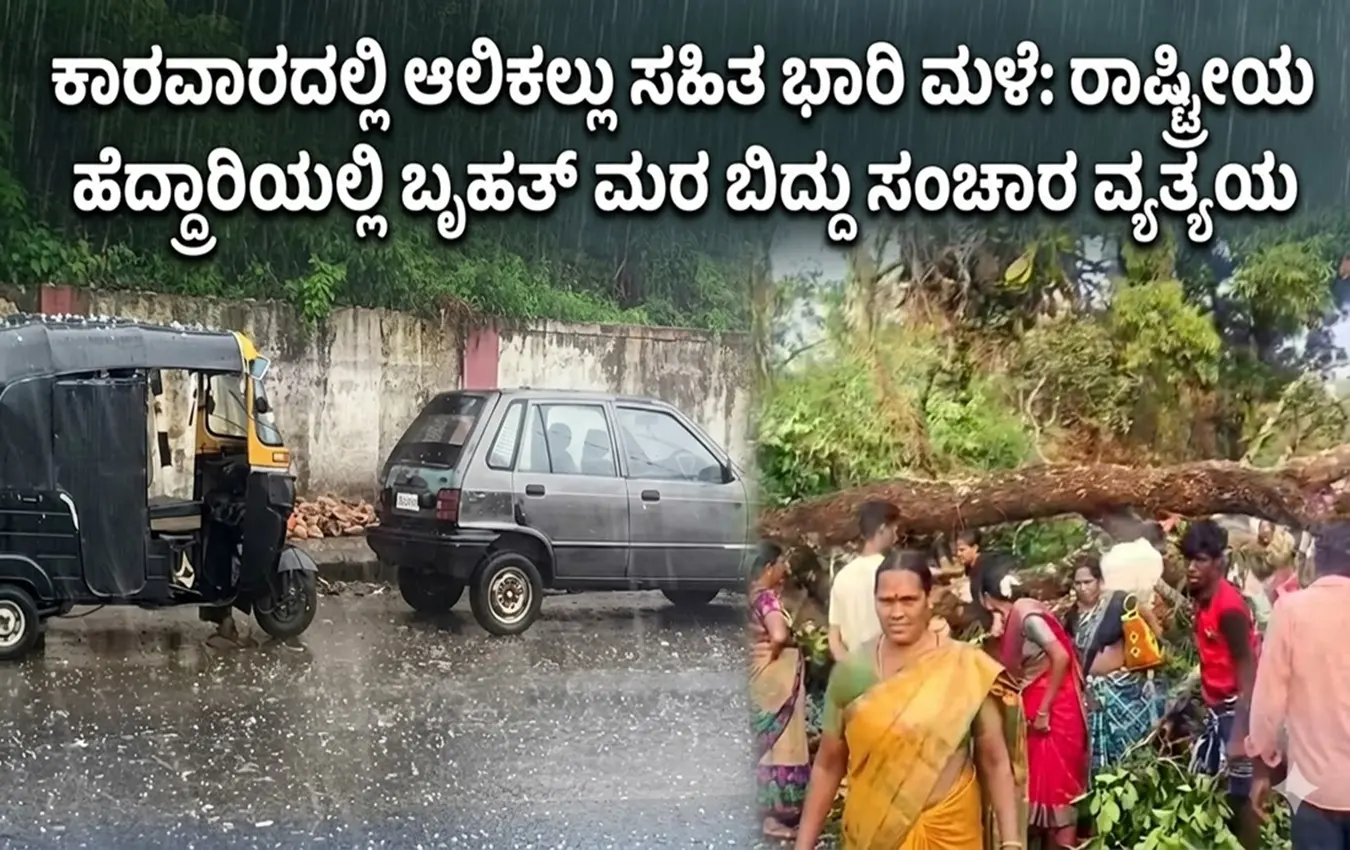 ಕಾರವಾರದಲ್ಲಿ ಆಲಿಕಲ್ಲು ಮಳೆ ಮತ್ತು ರಾಷ್ಟ್ರೀಯ ಹೆದ್ದಾರಿಯಲ್ಲಿ ಬಿದ್ದ ಬೃಹತ್ ಮರದಿಂದ ಸಂಚಾರ ವ್ಯತ್ಯಯವಾಗಿರುವ ದೃಶ್ಯ