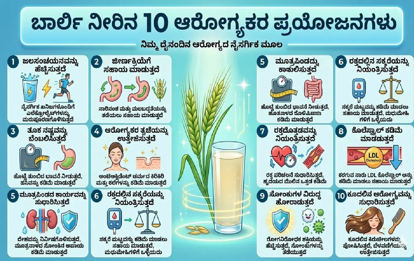 ಲೋಟದಲ್ಲಿರುವ ಆರೋಗ್ಯಕರ ಬಾರ್ಲಿ ನೀರು ಮತ್ತು ಬಾರ್ಲಿ ಕಾಳುಗಳು