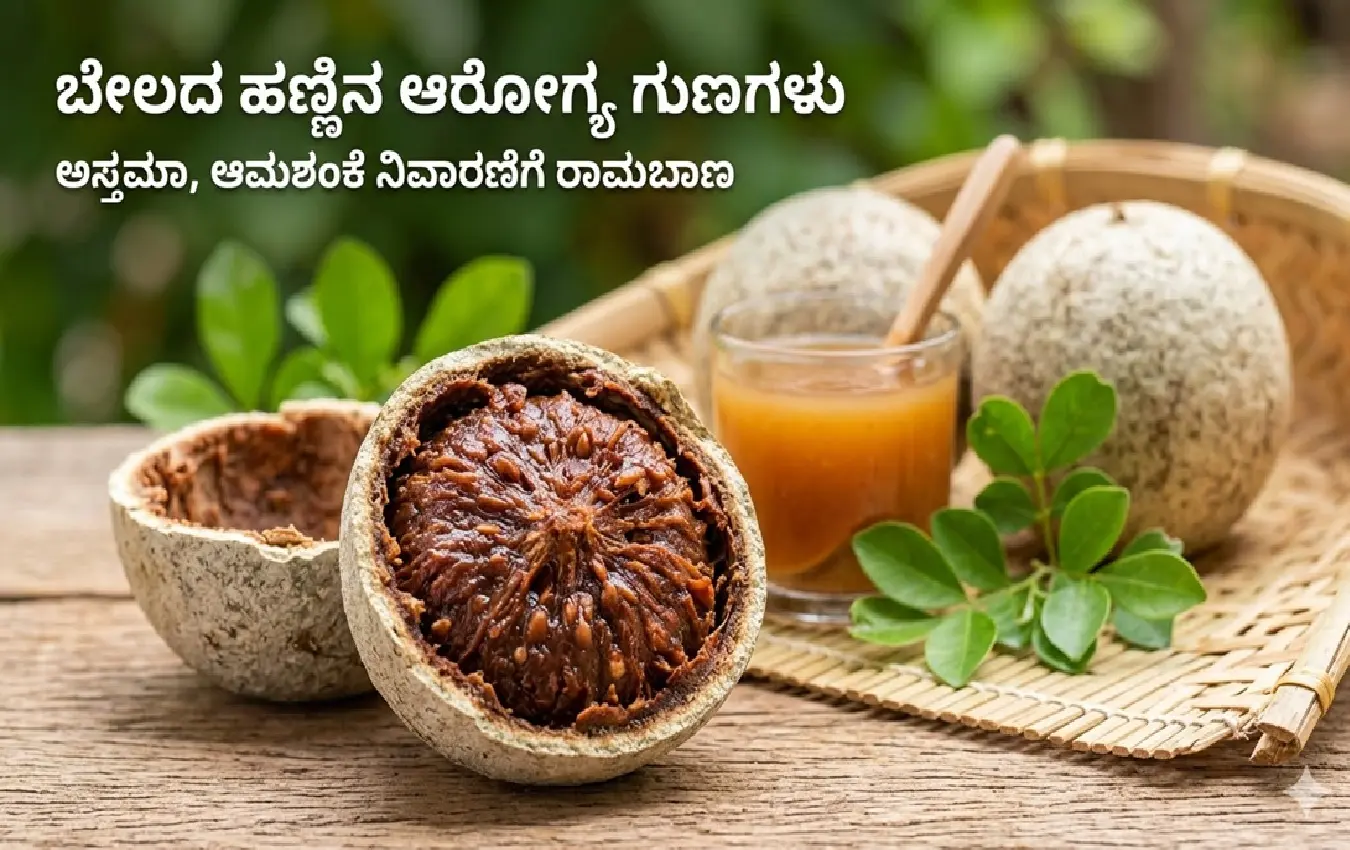 ಕಂದು ಬಣ್ಣದ ತಿರುಳಿರುವ ಬೇಲದ ಹಣ್ಣಿನ ಚಿತ್ರ