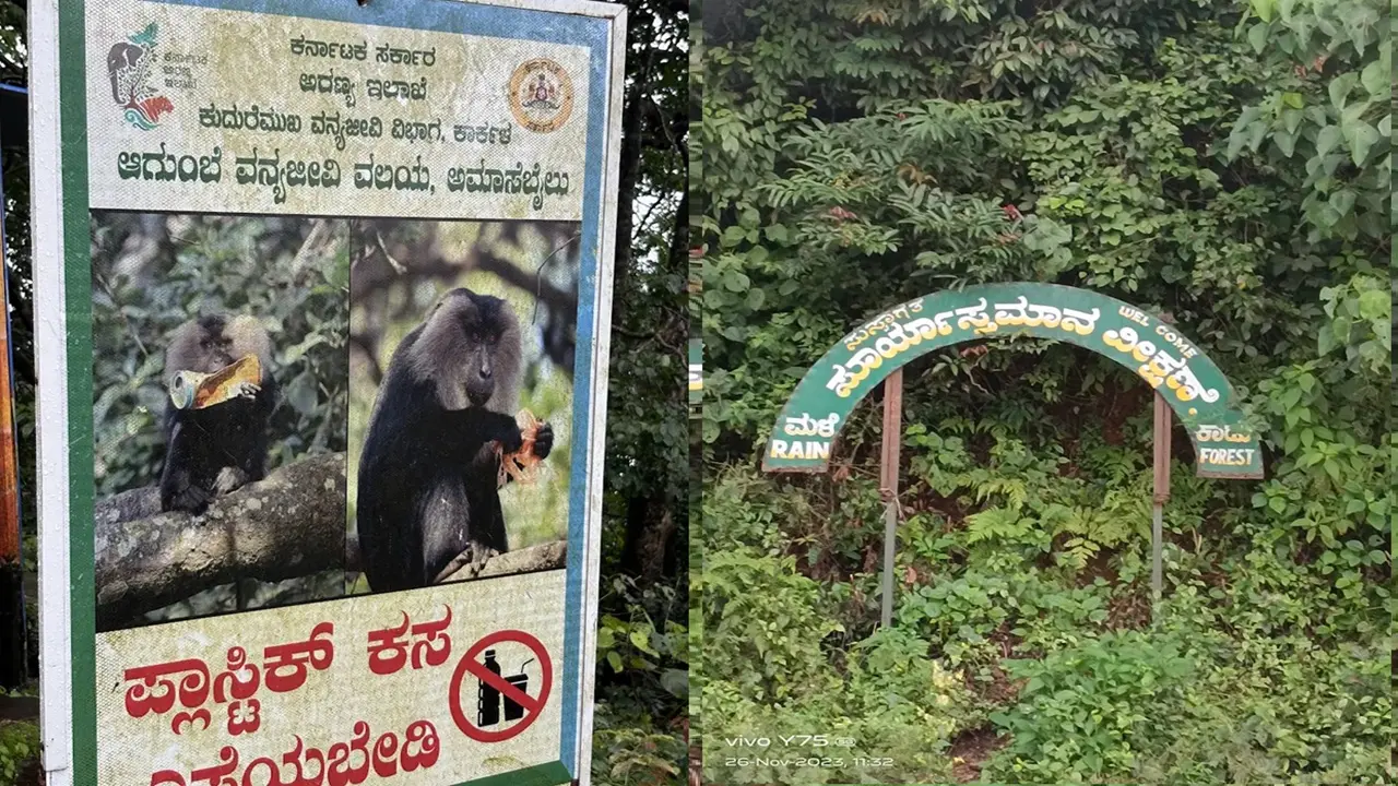ಆಗುಂಬೆ ಘಾಟಿ ರಸ್ತೆಯ ಕಡಿದಾದ ತಿರುವು ಮತ್ತು ಹಾನಿಗೀಡಾದ ತಡೆಗೋಡೆ.