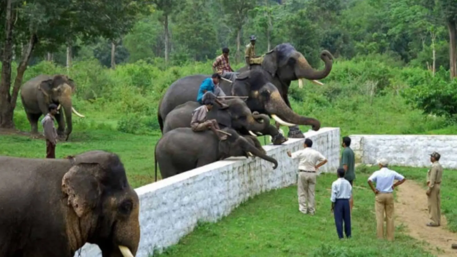 Safety guidelines and signage at the entrance of Dubare Elephant Camp in Karnataka.